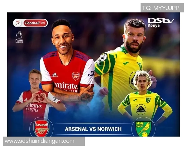 博塔弗戈与福塔雷萨历届交锋记录分析及战绩回顾